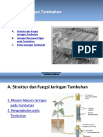 Power Point PR Biologi 11A Biologi Ed. 2019 BAB 2