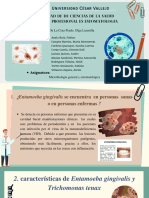 Entamoeba Gingivalis y Trichomonas Tenax