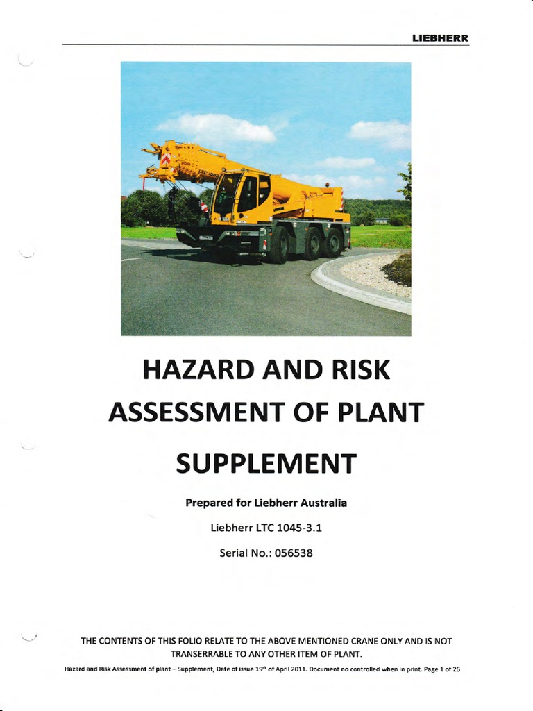 Liebherr Risk Assessment | PDF