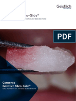 E-Book Consensogeistlichfibro-Gide® Web