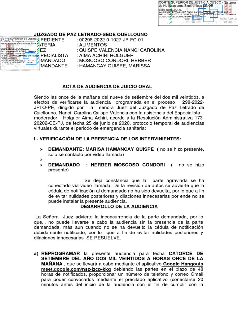 Acta de Audiencia de Juicio Oral | PDF | Justicia | Crimen y violencia