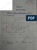 Photosynthesis Bio Class 10