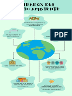 Infografía Cuidado Del Medio Ambiente Moderno Verde