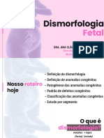 Dismorfologia Fetal
