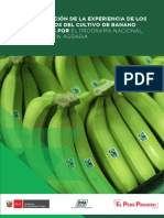 2020 - Sistematización Subproyectos Banano PDF
