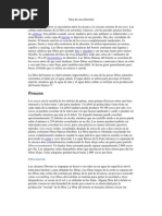 Download Fibra de Coco by Carls Mu SN59572055 doc pdf