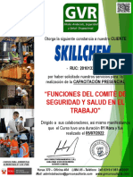 Cer Corporativo Funciones Del CSST Jul 2022 - Skillchem