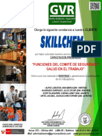 Cer Trabajadores Skillchem Jul 2022 - Funciones Del CSST