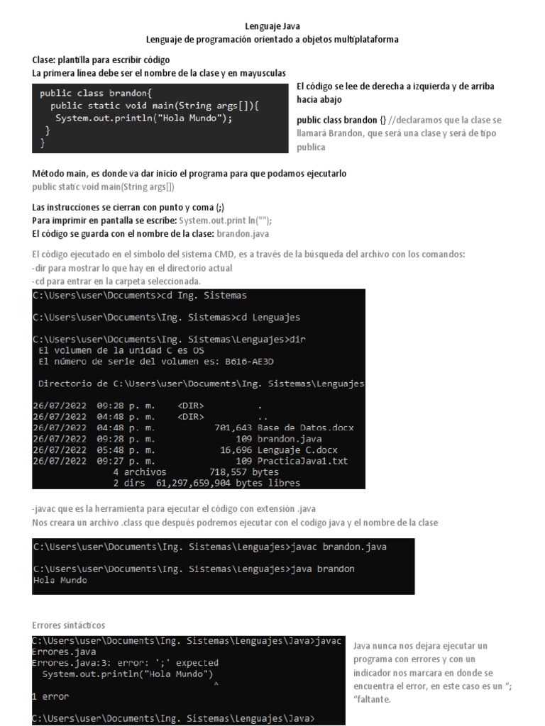 Lenguaje Java | PDF | Java (lenguaje de programación) | Lenguaje de ...