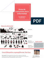 Rutas de Transmisión de La Enfermedad