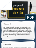 Como Hacer Un Proyecto de Vida