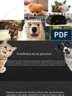 Animales NWN (Autoguardado)