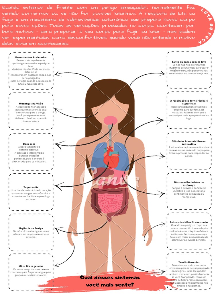 Vida Joven de Mexico oferece aos 'órfãos' um lar, educação e chance de vida  - Episcopal News Service, image size:768x1024