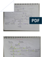 Procesos de Transformación de La Biomasa