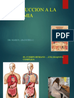 Tema 1 Gral Anatomia