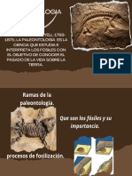 Paleontologia