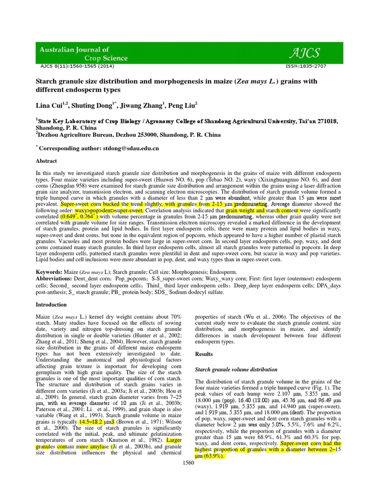 BD Bulk Density of Corn Starch PDF Maize Popcorn