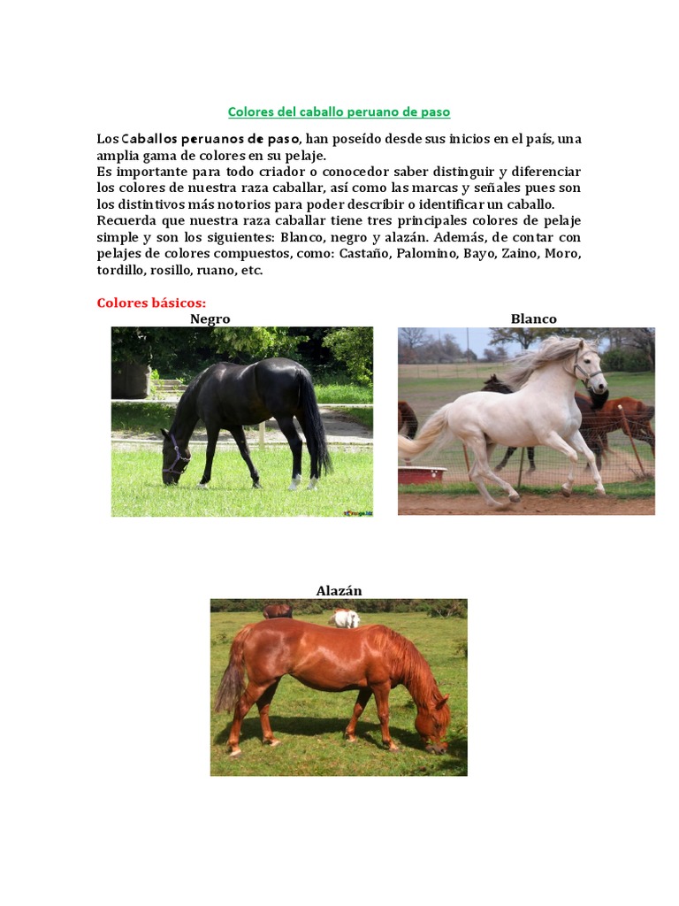 Colores del Caballo Peruano de Paso | PDF | Ganado | Color