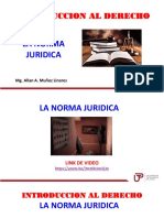 La Norma Juridica - Semana 05
