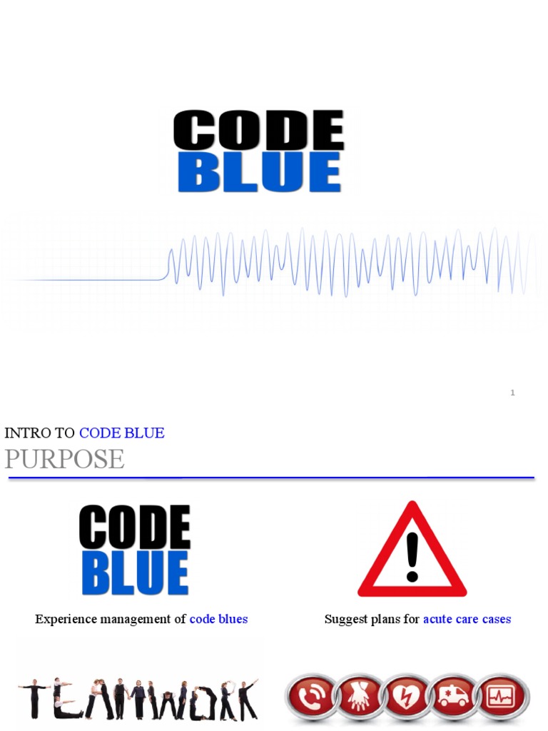 Panduan Tim Respon Code Blue Rumah Sakit | PDF