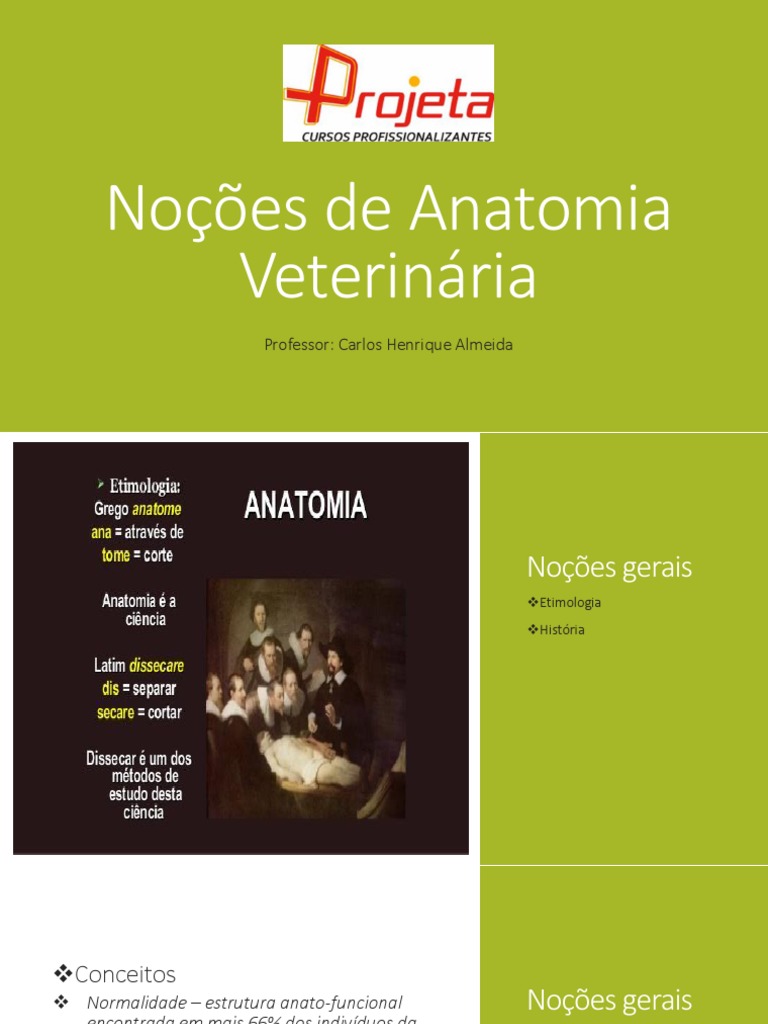 Noções De Anatomia Veterinária Pdf Anatomia Esqueleto