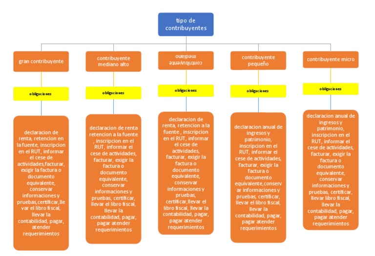 Tipos de Contribuyentes y Sus Obligaciones | PDF | Contabilidad | Factura