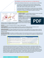 Semana 22 Dia 3