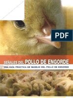 Señales Del Pollo de Engorde Una Guia Practica