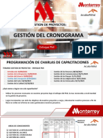 Gestion Del Cronograma