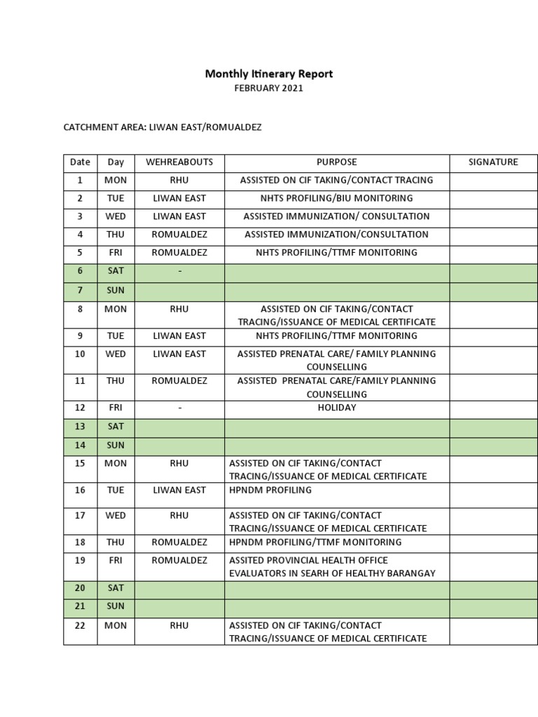 Monthly Itinerary Report | PDF