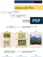 Ecosistema Del Peru