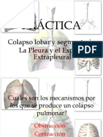 PRÁCTICA 04 - Colapso Lobar y Segmentario, La Pleura y El Espacio Extrapleural