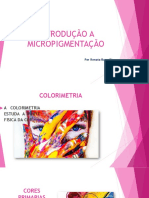 Guia completo sobre micropigmentação e cores