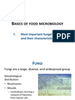07 - Basics Food Microbiol - Fungi