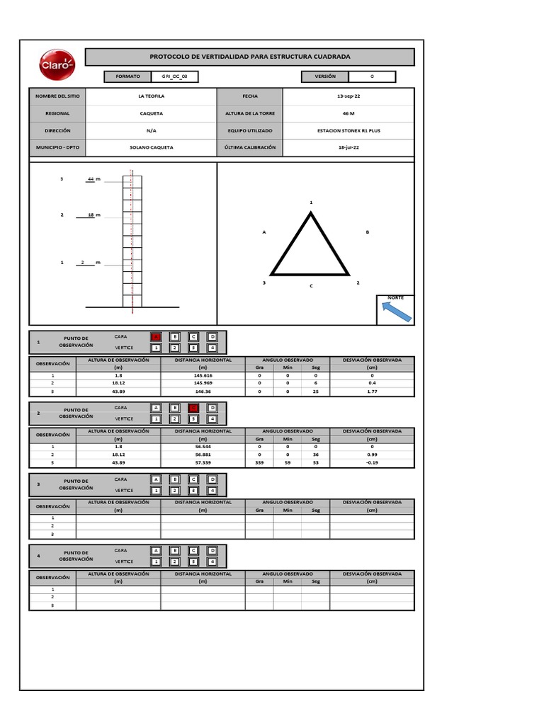 Protocolo de Verticalidad LATEOFILA | PDF