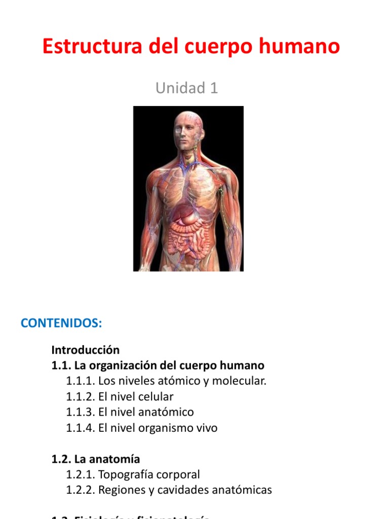 Unidad 1 Estructura Del Cuerpo Humano | PDF | Términos anatómicos de ...