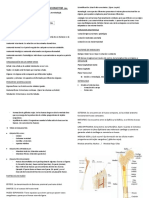 Generalizaciones y Aparato Locomotor