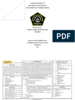 LP Nusin 4 - CKD