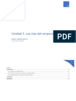 Unidad 2. Las Vías Del Amparo: Sesión 5. Amparo Directo