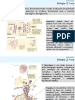 Reprodução Humana - 2