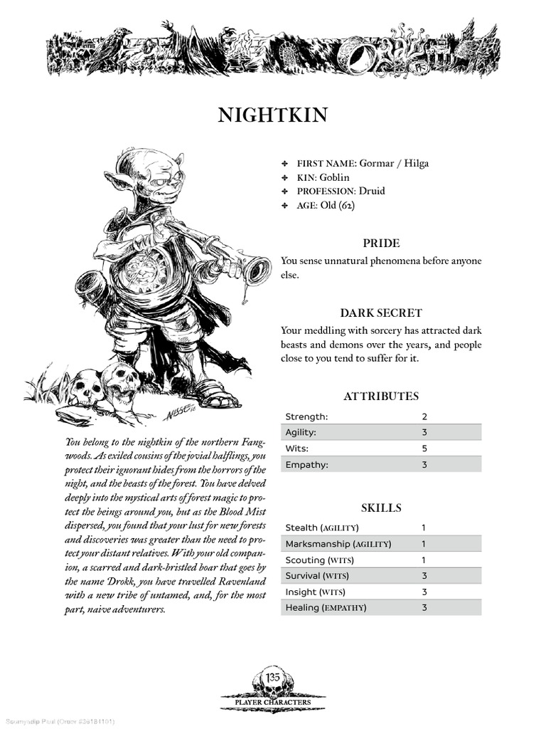 Nightkin Druid Character Overview | PDF