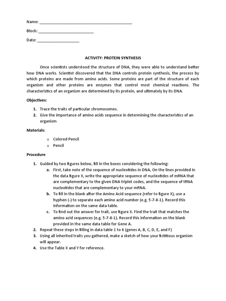 Activity Protein Sythesis | PDF | Translation (Biology) | Proteins
