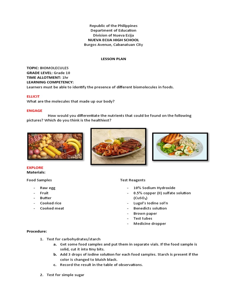Lesson Plan Biomolecules PDF Foods Carbohydrates