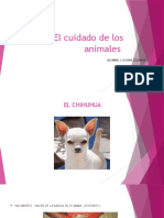 El Cuidado de Los Animales