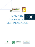 Memoria Diagnostico Destino Ibague
