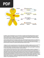 Sexo biológico