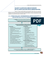 02 Evaluar y Determinar El Riesgo Durante La Gestaci N