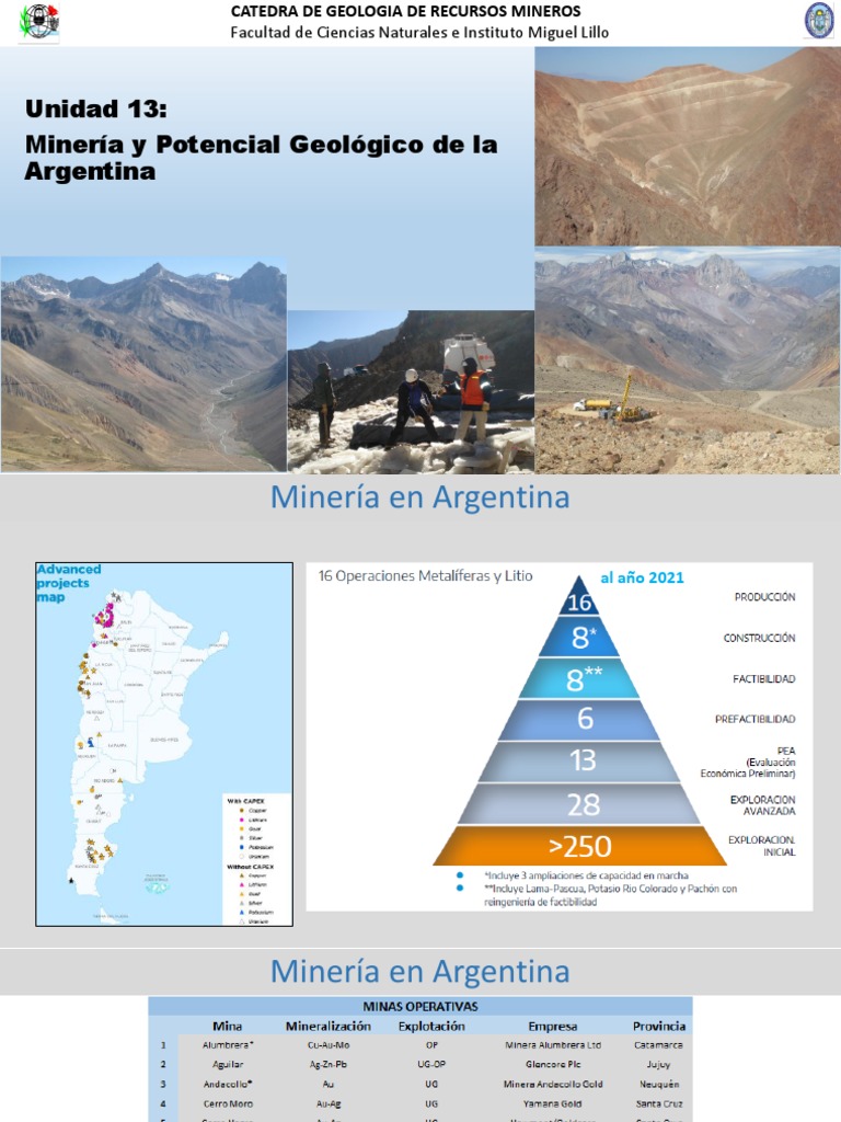 Minería y Potencial Geológico en Argentina | PDF | Minería | Materiales