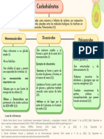 Clasificación de Los Carbohidratos