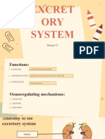 Anatomy of Excretory System, Nephron